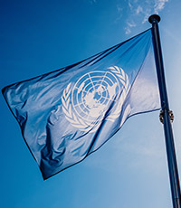 Tour Crespi d'Adda in Minivan