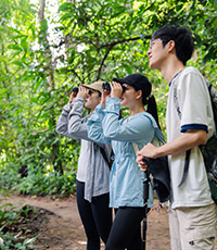 Tour Personalizzato in Minivan
